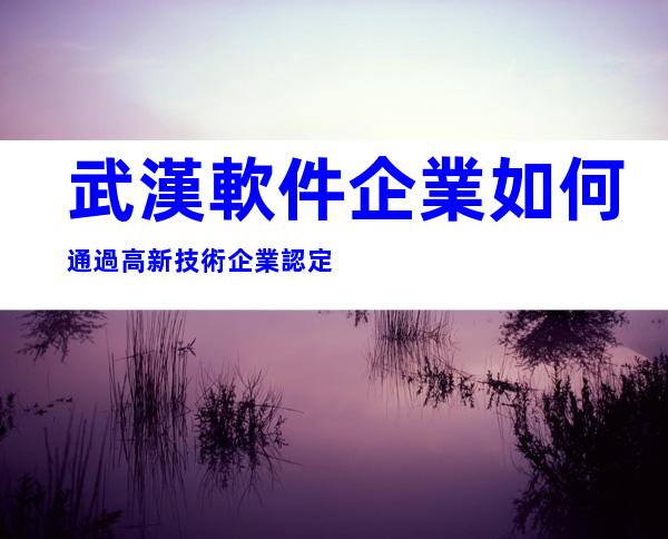 武漢軟件企業如何通過高新技術企業認定
