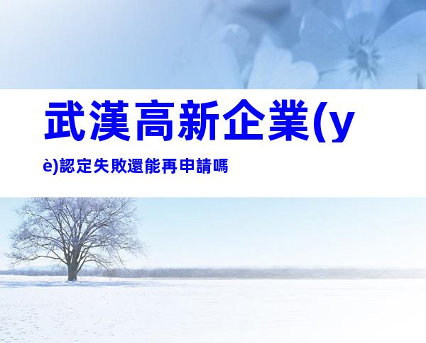 武漢高新企業(yè)認定失敗還能再申請嗎