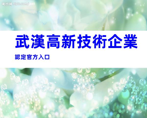 武漢高新技術企業認定官方入口