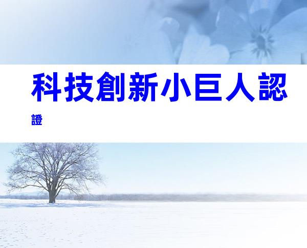 科技創新小巨人認證