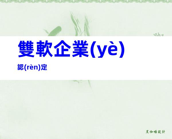 雙軟企業(yè)認(rèn)定